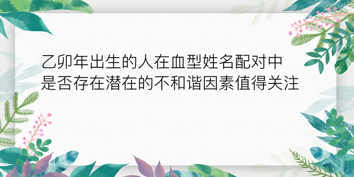 鼠婚配属相游戏截图