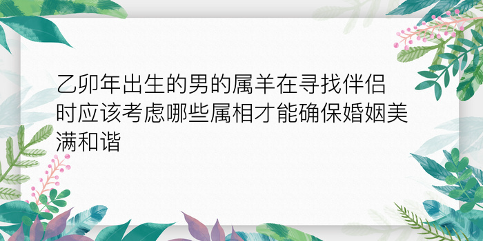 姓名配对情侣游戏截图