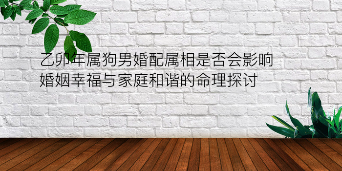 乙卯年属狗男婚配属相是否会影响婚姻幸福与家庭和谐的命理探讨