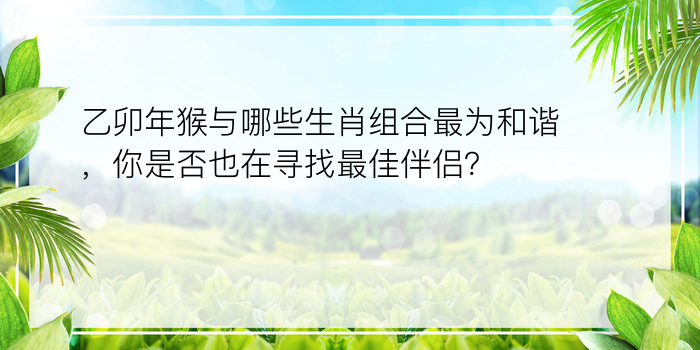 乙卯年猴与哪些生肖组合最为和谐，你是否也在寻找最佳伴侣？