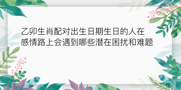 怎么算车牌号码吉凶游戏截图