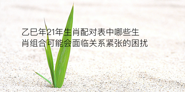 星座配对测试游戏截图