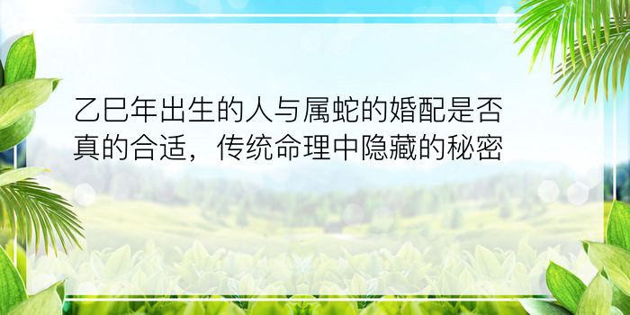 乙巳年出生的人与属蛇的婚配是否真的合适，传统命理中隐藏的秘密