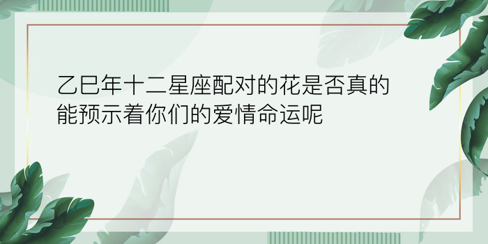 乙巳年十二星座配对的花是否真的能预示着你们的爱情命运呢