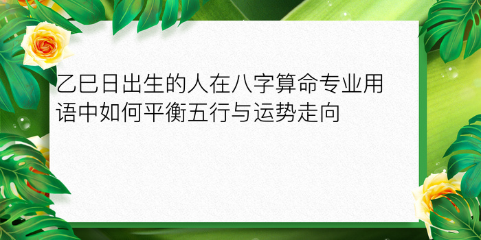 乙巳日出生的人在八字算命专业用语中如何平衡五行与运势走向