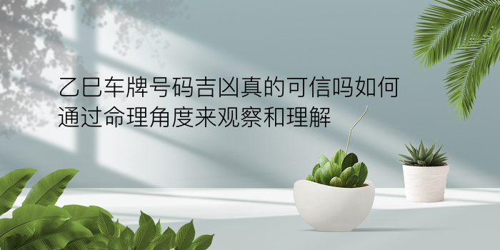 属虎的婚配属相游戏截图