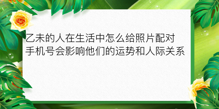 乙未的人在生活中怎么给照片配对手机号会影响他们的运势和人际关系呢