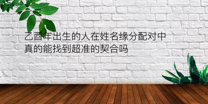 乙酉年出生的人在姓名缘分配对中真的能找到超准的契合吗