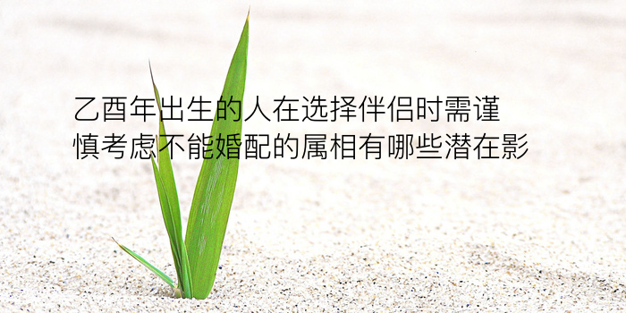 八字配对软件游戏截图