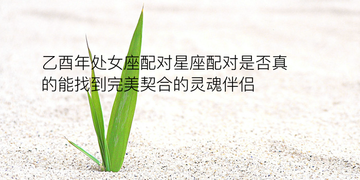 生肖配对游戏截图