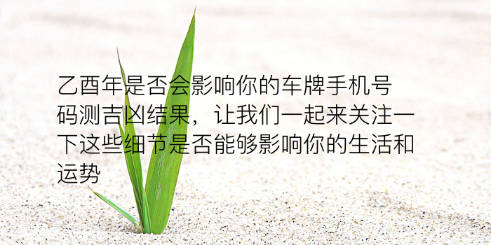 乙酉年是否会影响你的车牌手机号码测吉凶结果，让我们一起来关注一下这些细节是否能够影响你的生活和运势