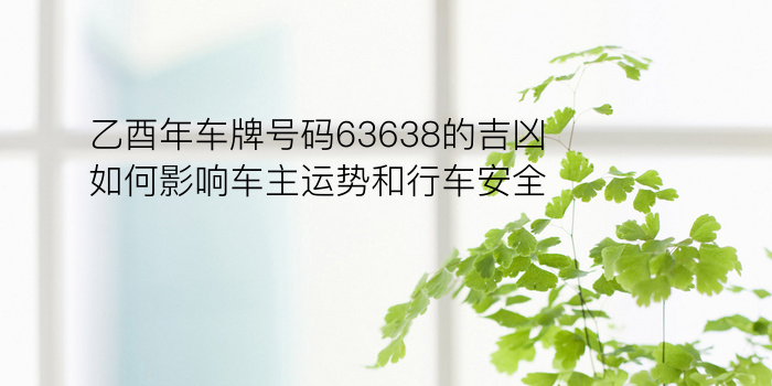 乙酉年车牌号码63638的吉凶如何影响车主运势和行车安全