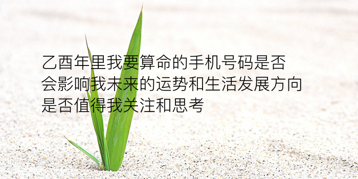 属相生日配对测试婚姻游戏截图