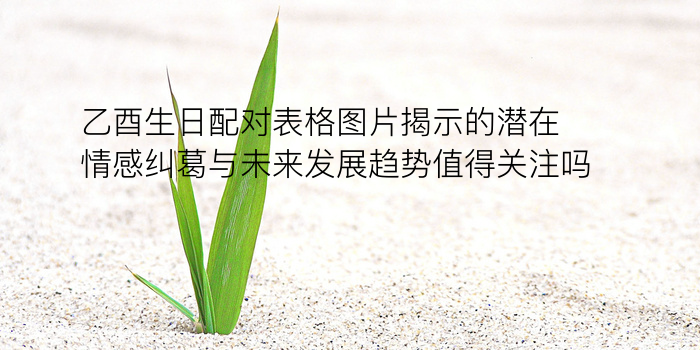 生日缘分配对象游戏截图