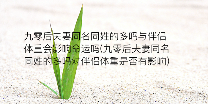 无同名同姓游戏截图