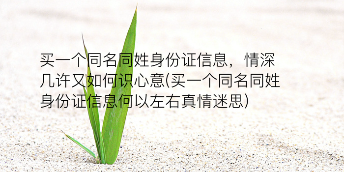 免费周易取名测名游戏截图