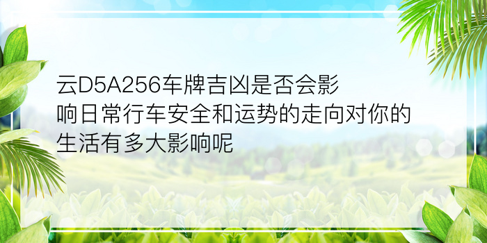 云D5A256车牌吉凶是否会影响日常行车安全和运势的走向对你的生活有多大影响呢