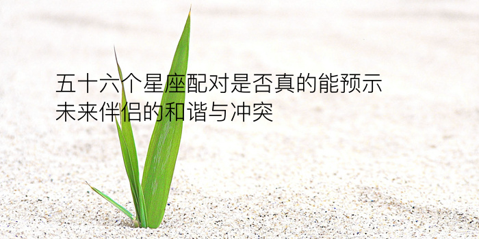 车牌吉凶打分游戏截图