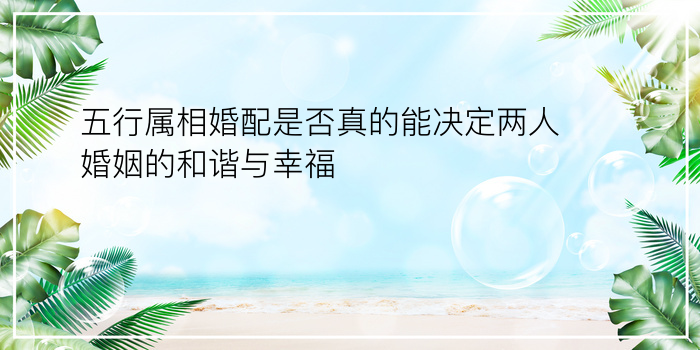 农历生日配对公式游戏截图