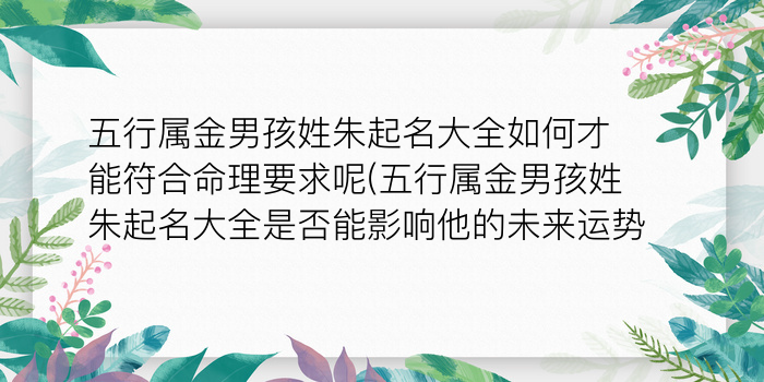 二零二算运网