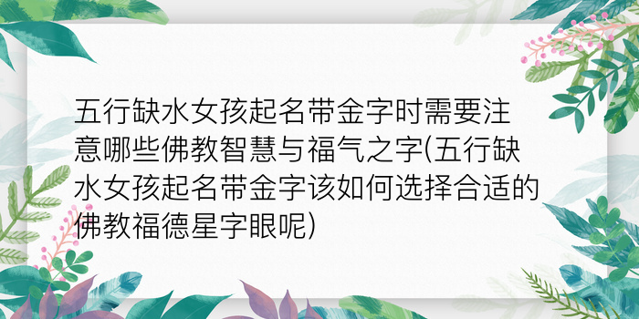 二零二算运网