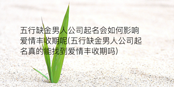 宝宝算命起名游戏截图