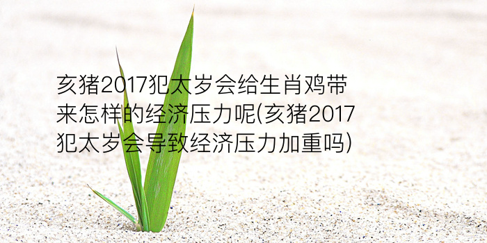 2022哪些生肖犯太岁游戏截图