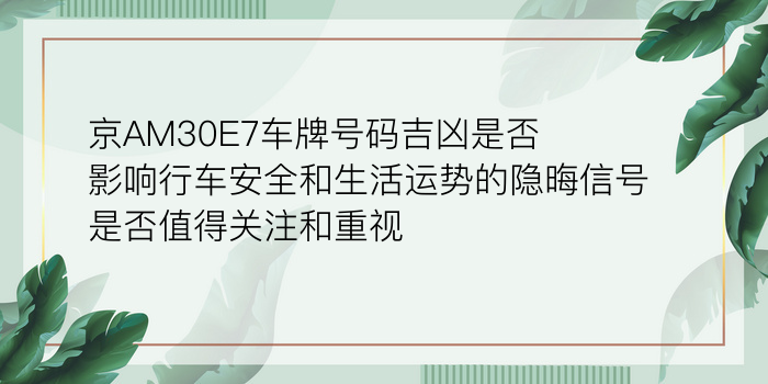 猪的生肖配对游戏截图