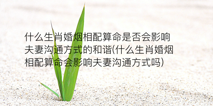 生肖算命猪游戏截图