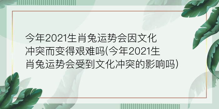 今年2021生肖兔运势会因文化冲突而变得艰难吗(今年2021生肖兔运势会受到文化冲突的影响吗)