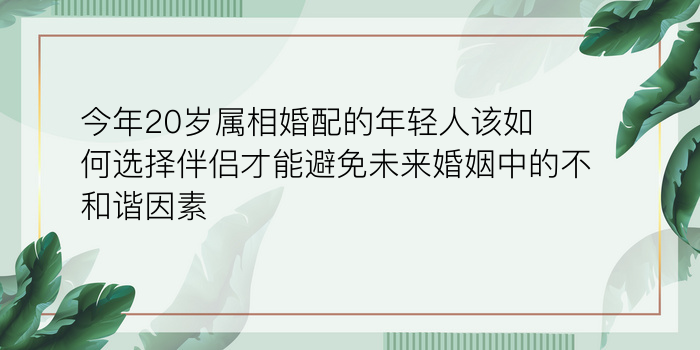 今年20岁属相婚配的年轻人该如何选择伴侣才能避免未来婚姻中的不和谐因素