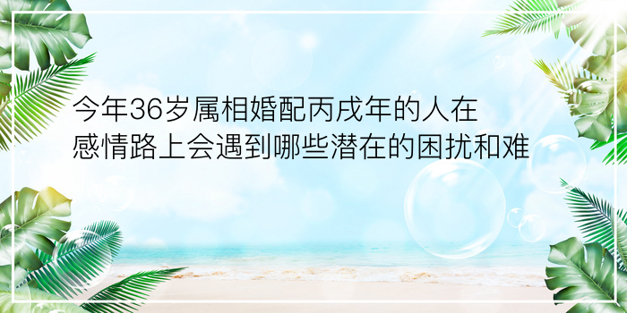 今年36岁属相婚配丙戌年的人在感情路上会遇到哪些潜在的困扰和难题