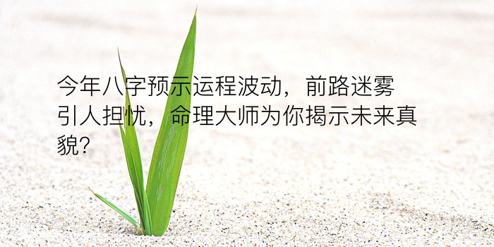 农历八字运程游戏截图