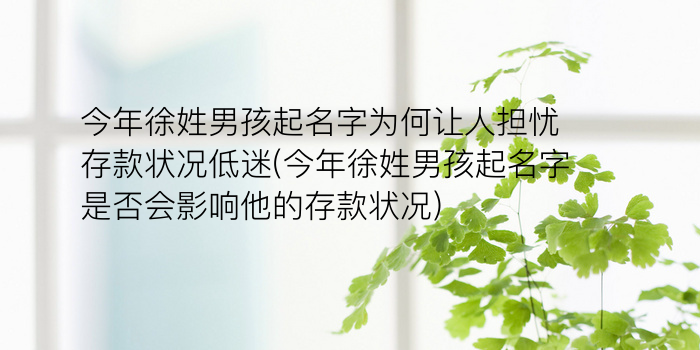 今年徐姓男孩起名字为何让人担忧存款状况低迷(今年徐姓男孩起名字是否会影响他的存款状况)