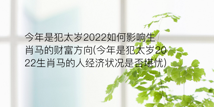 今年是犯太岁2022如何影响生肖马的财富方向(今年是犯太岁2022生肖马的人经济状况是否堪忧)