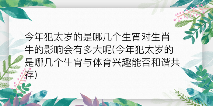 本命佛黑曜石游戏截图