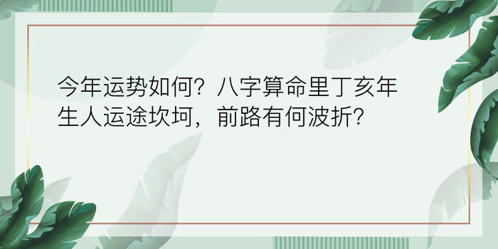 今年运势如何？八字算命里丁亥年生人运途坎坷，前路有何波折？