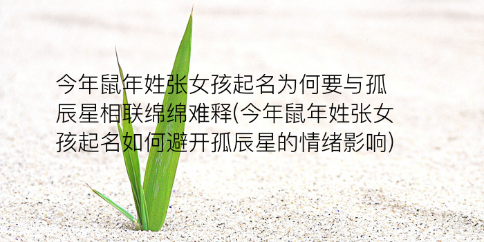 周易取名鸣游戏截图