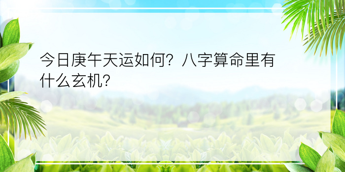 今日庚午天运如何？八字算命里有什么玄机？