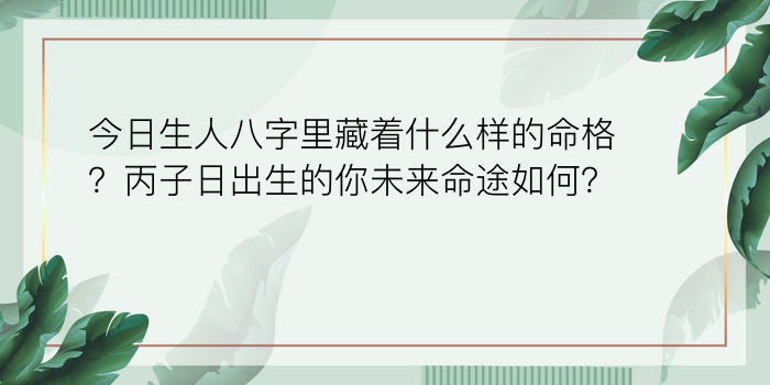 香港八字运程游戏截图