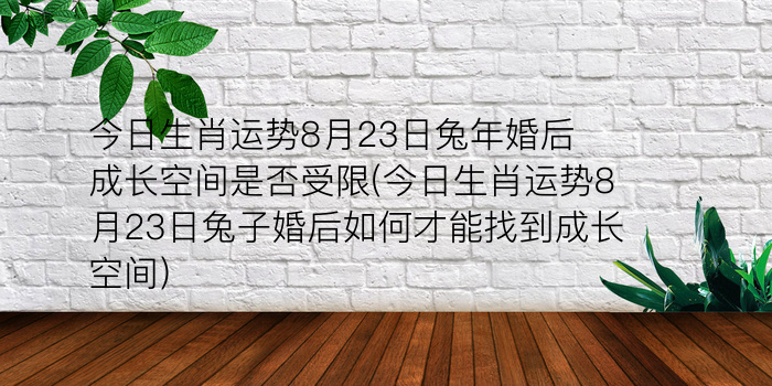 本命佛的佩戴注意事项游戏截图