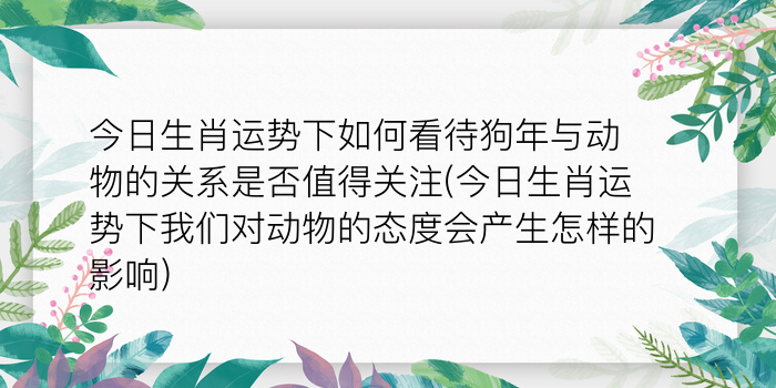 二零二算运网