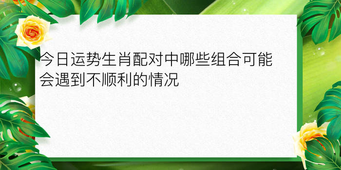 十二生肖的属相婚配表游戏截图