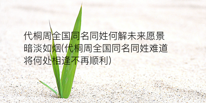 服装公司起名游戏截图