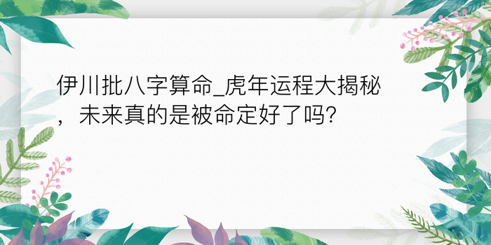 伊川批八字算命_虎年运程大揭秘，未来真的是被命定好了吗？