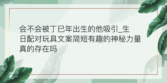 12生肖最佳配对游戏截图