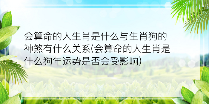 会算命的人生肖是什么与生肖狗的神煞有什么关系(会算命的人生肖是什么狗年运势是否会受影响)