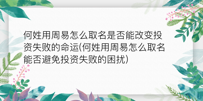 二零二算运网