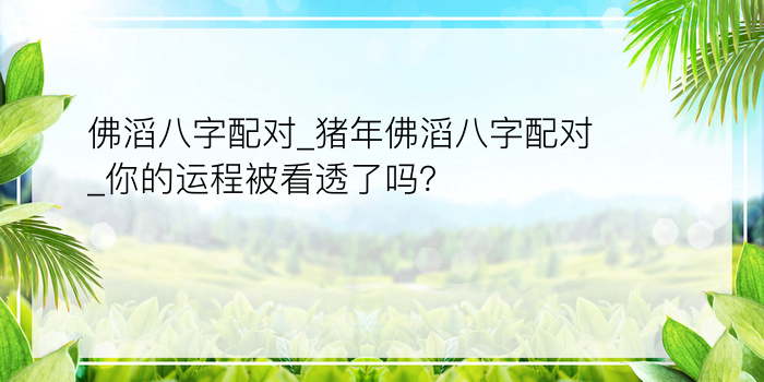 佛滔八字配对_猪年佛滔八字配对_你的运程被看透了吗？