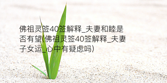 妈祖灵签49游戏截图